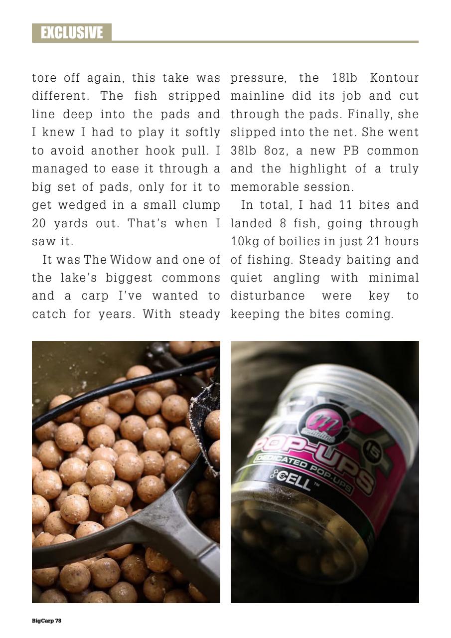 Big Carp Magazine Preview Pages