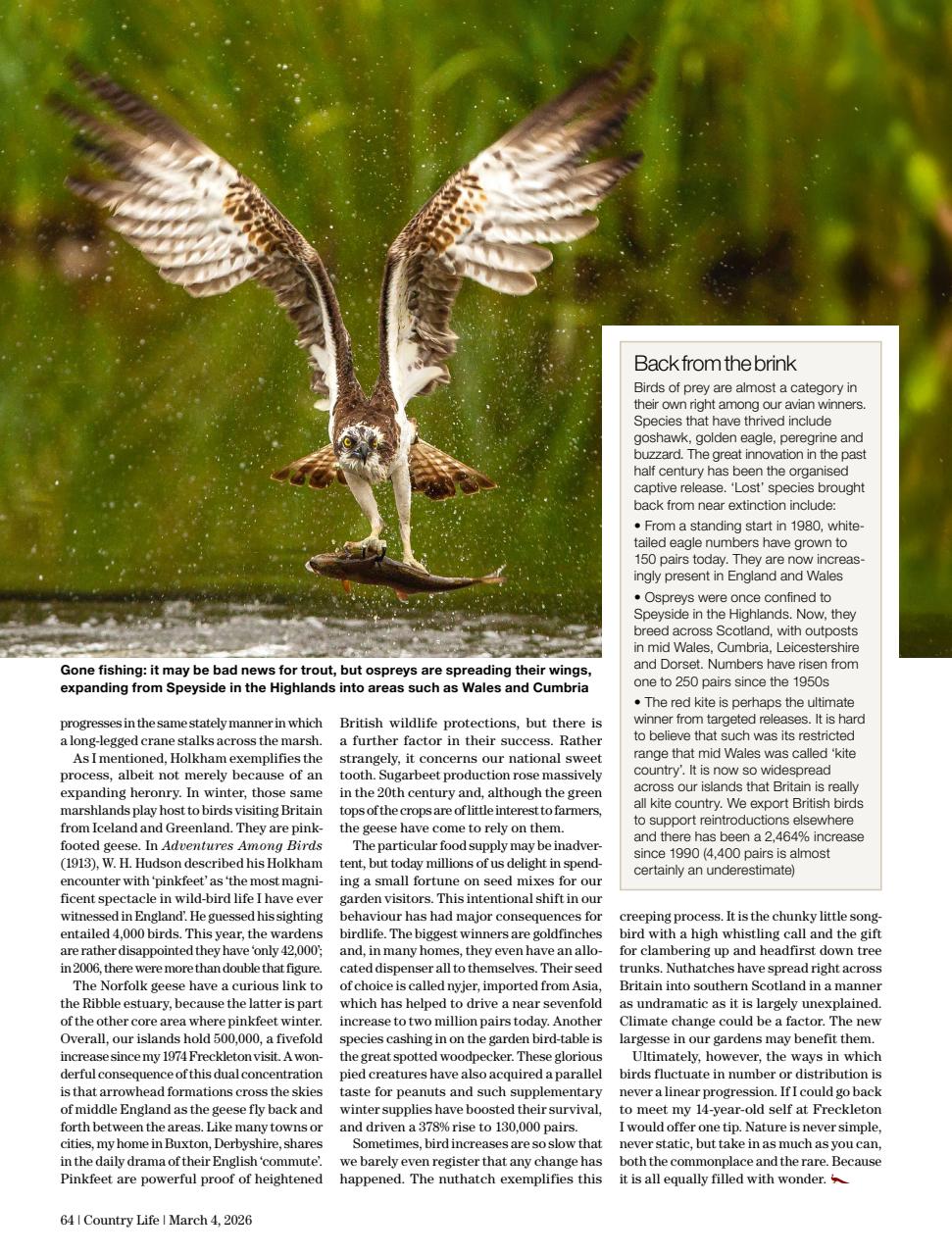 Country Life Preview Pages