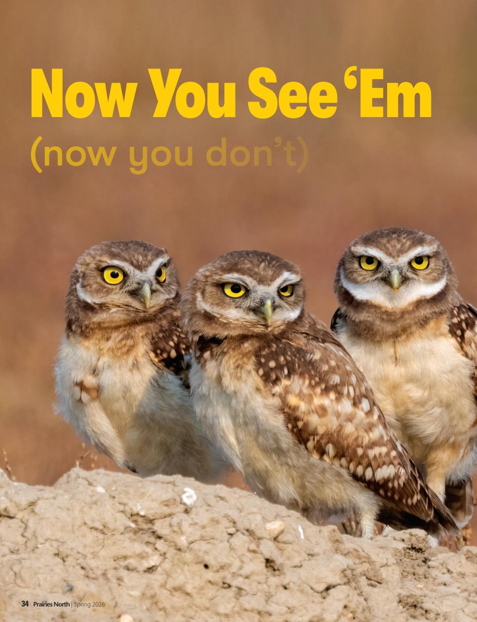 Prairies North Magazine Preview Pages