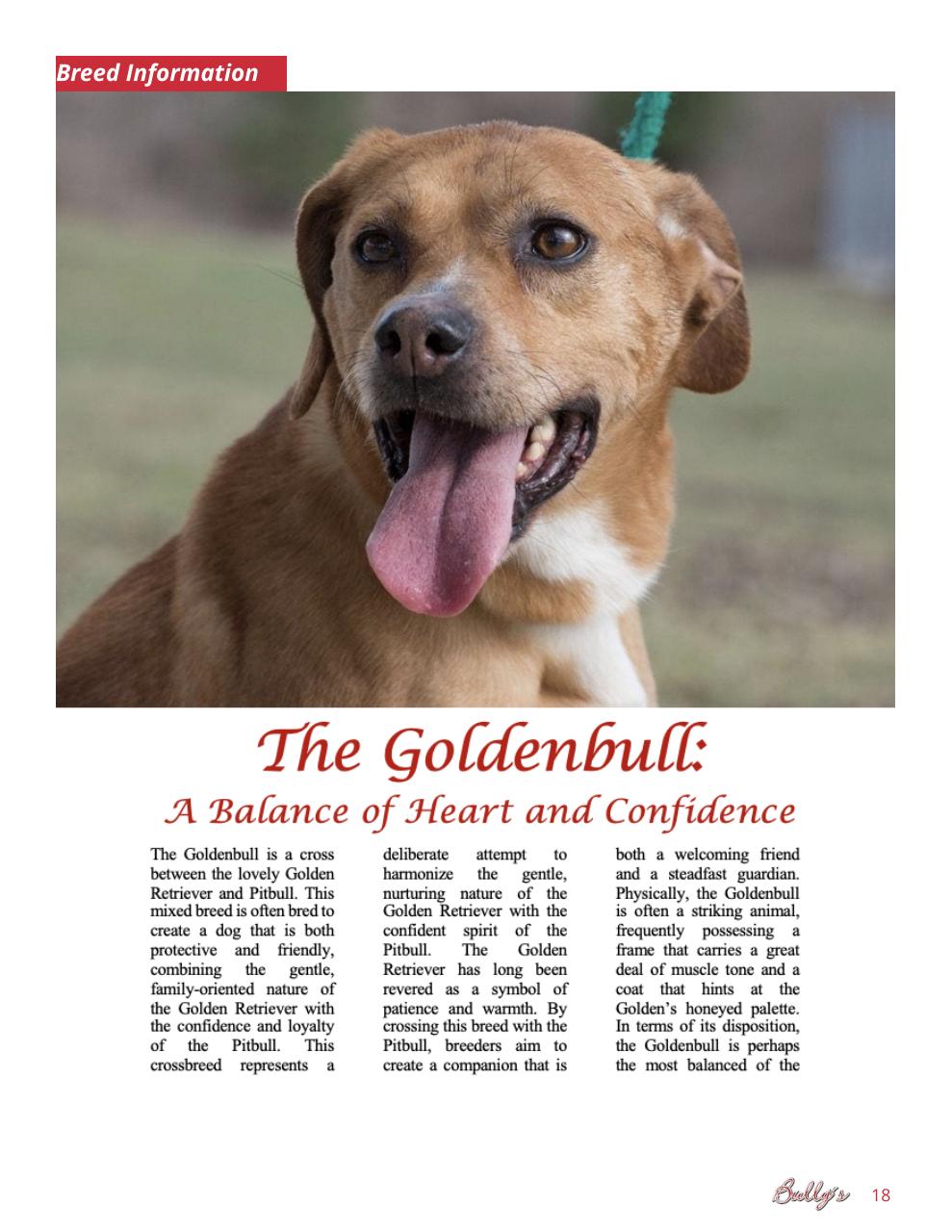 Bully’s - The Bulldog Magazine Preview Pages