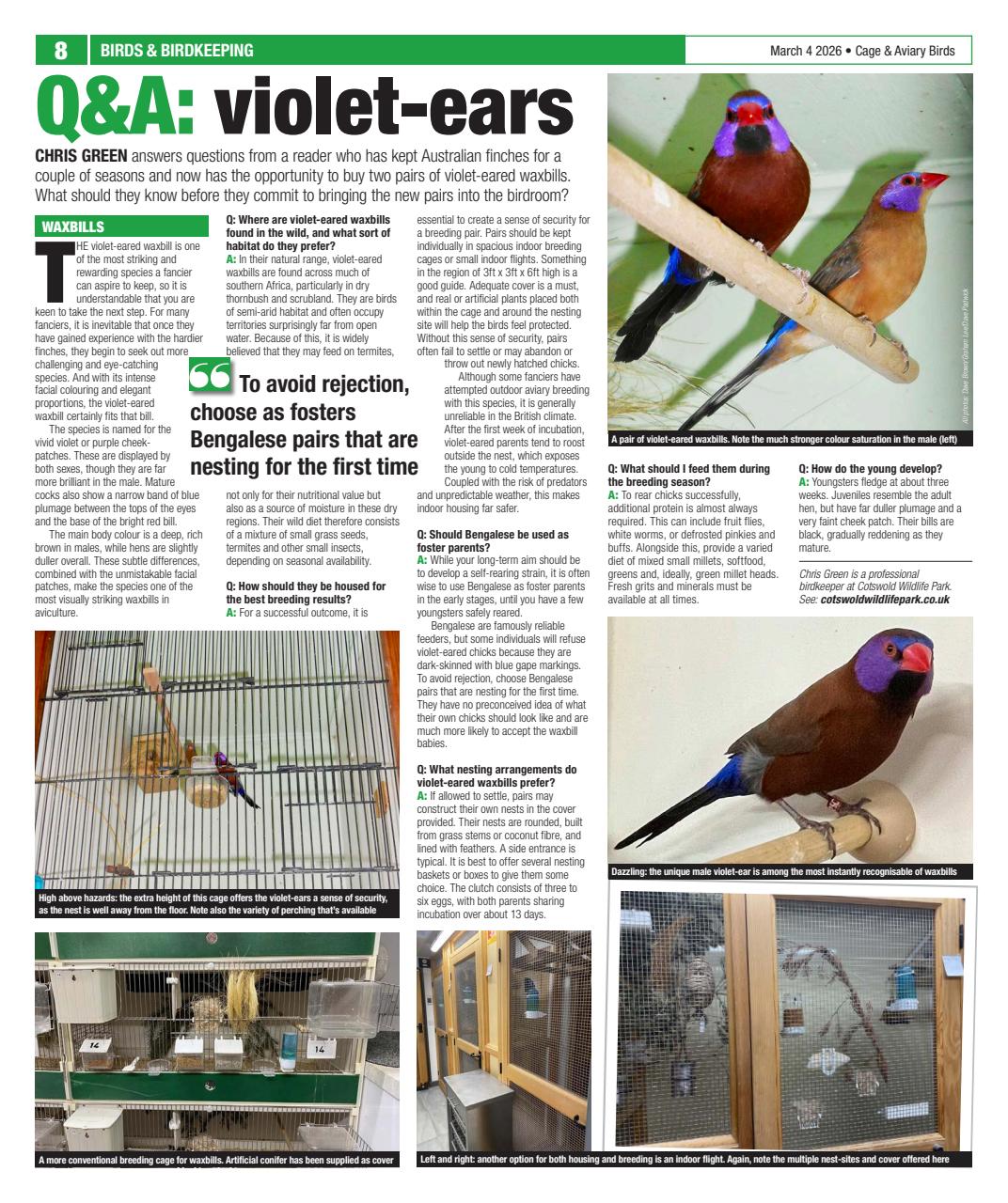 Cage & Aviary Birds Preview Pages