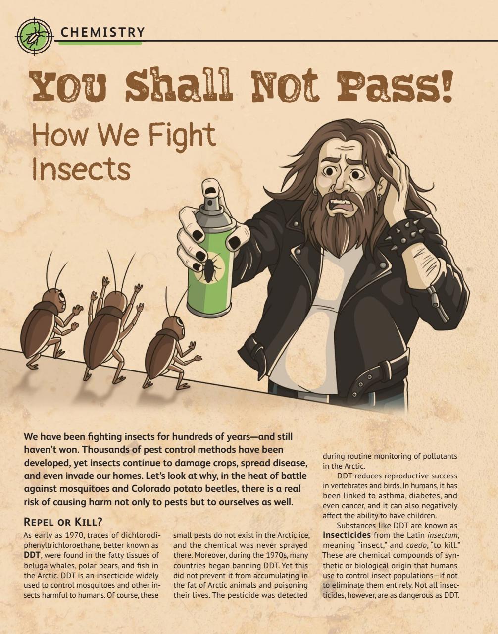 OYLA Magazine Preview Pages