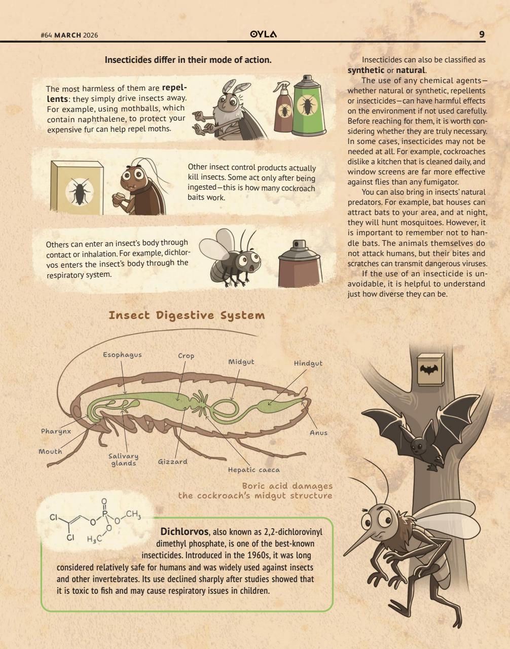 OYLA Magazine Preview Pages