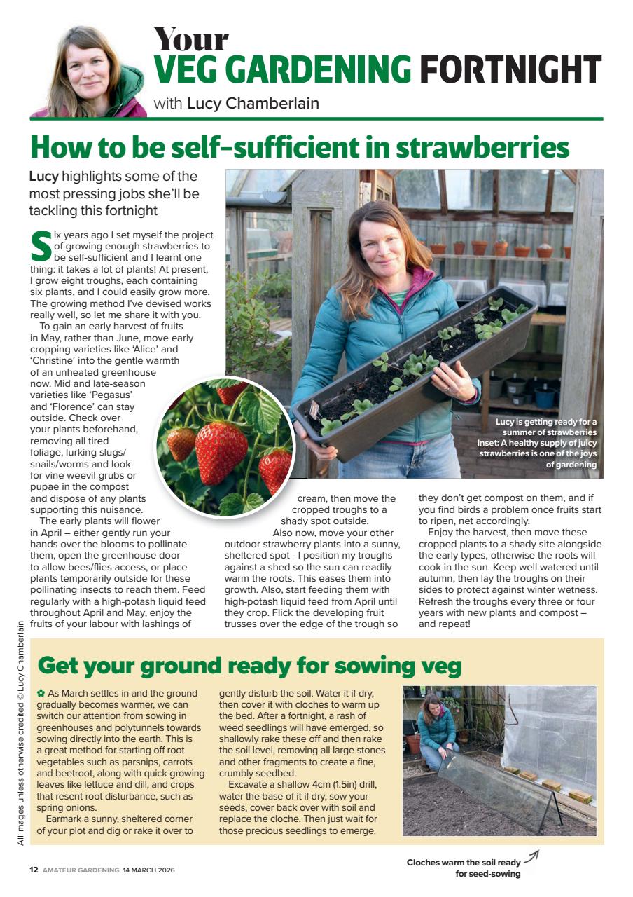 Amateur Gardening Preview Pages