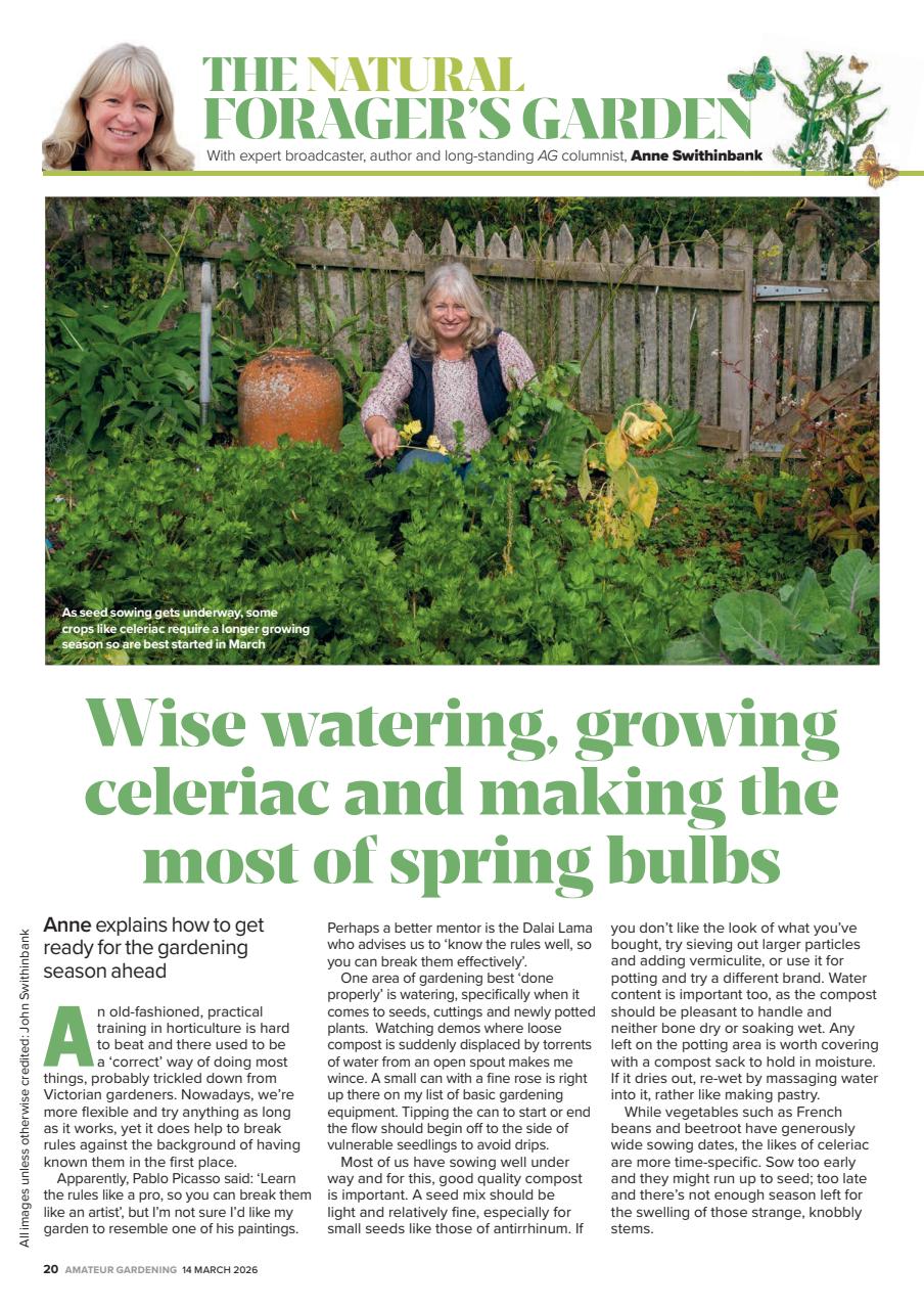 Amateur Gardening Preview Pages