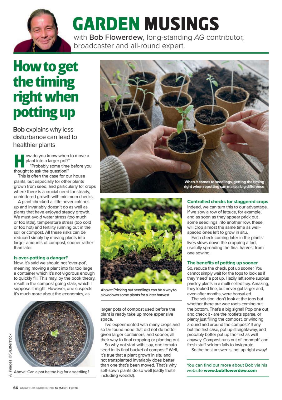 Amateur Gardening Preview Pages