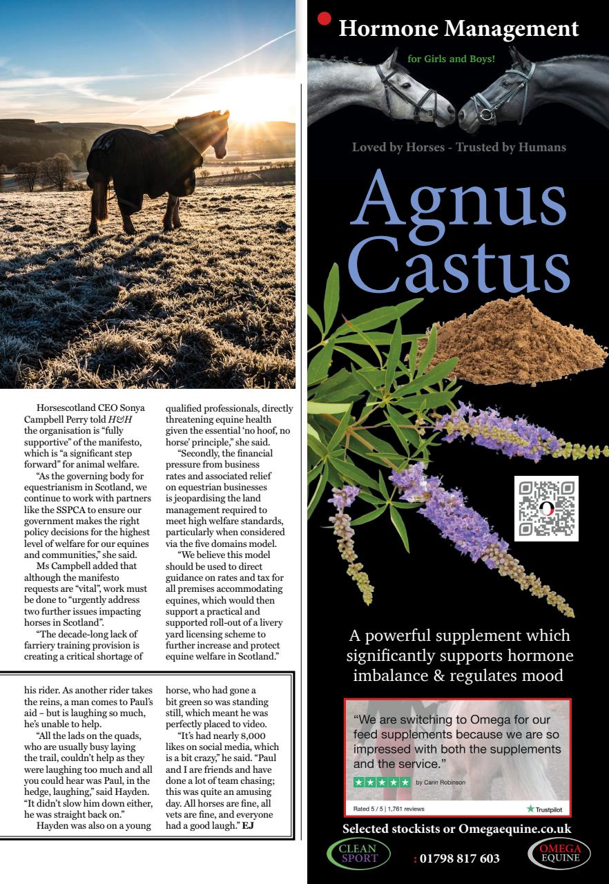 Horse & Hound Preview Pages