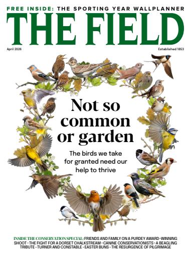 The Field issue 