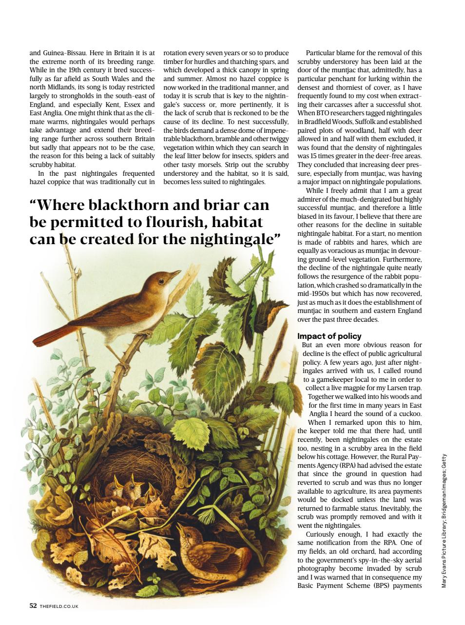 The Field Preview Pages