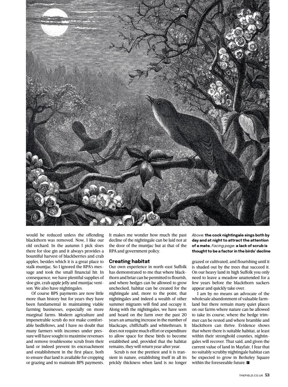 The Field Preview Pages