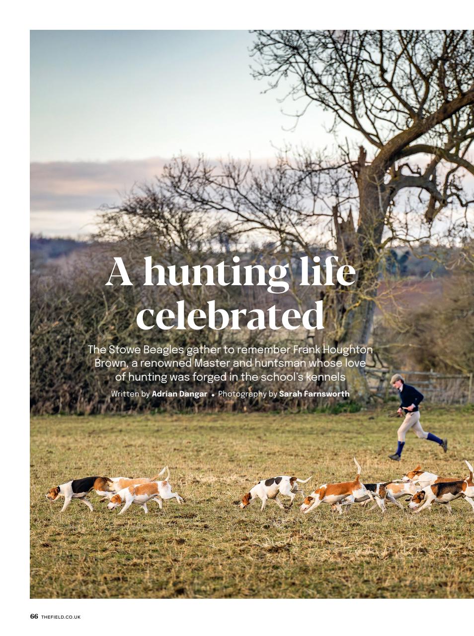 The Field Preview Pages