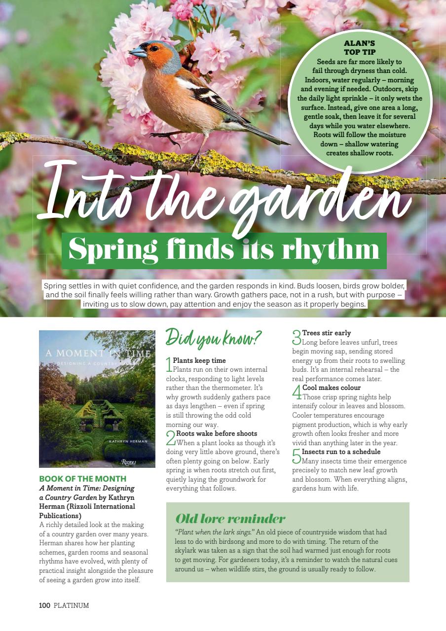 Platinum Preview Pages