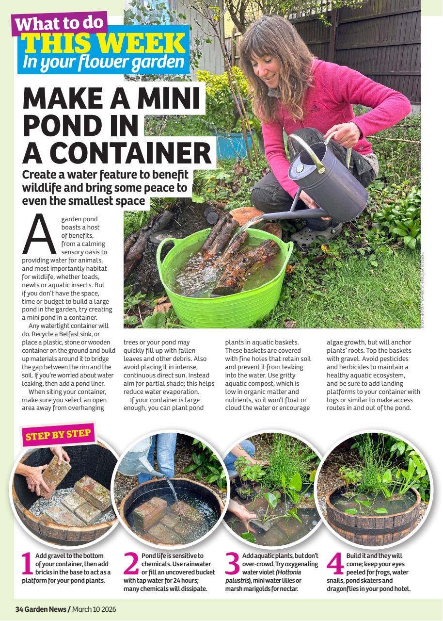 Garden News Preview Pages