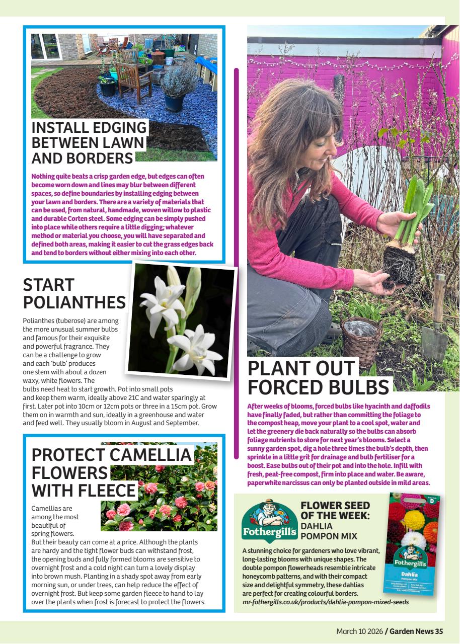 Garden News Preview Pages