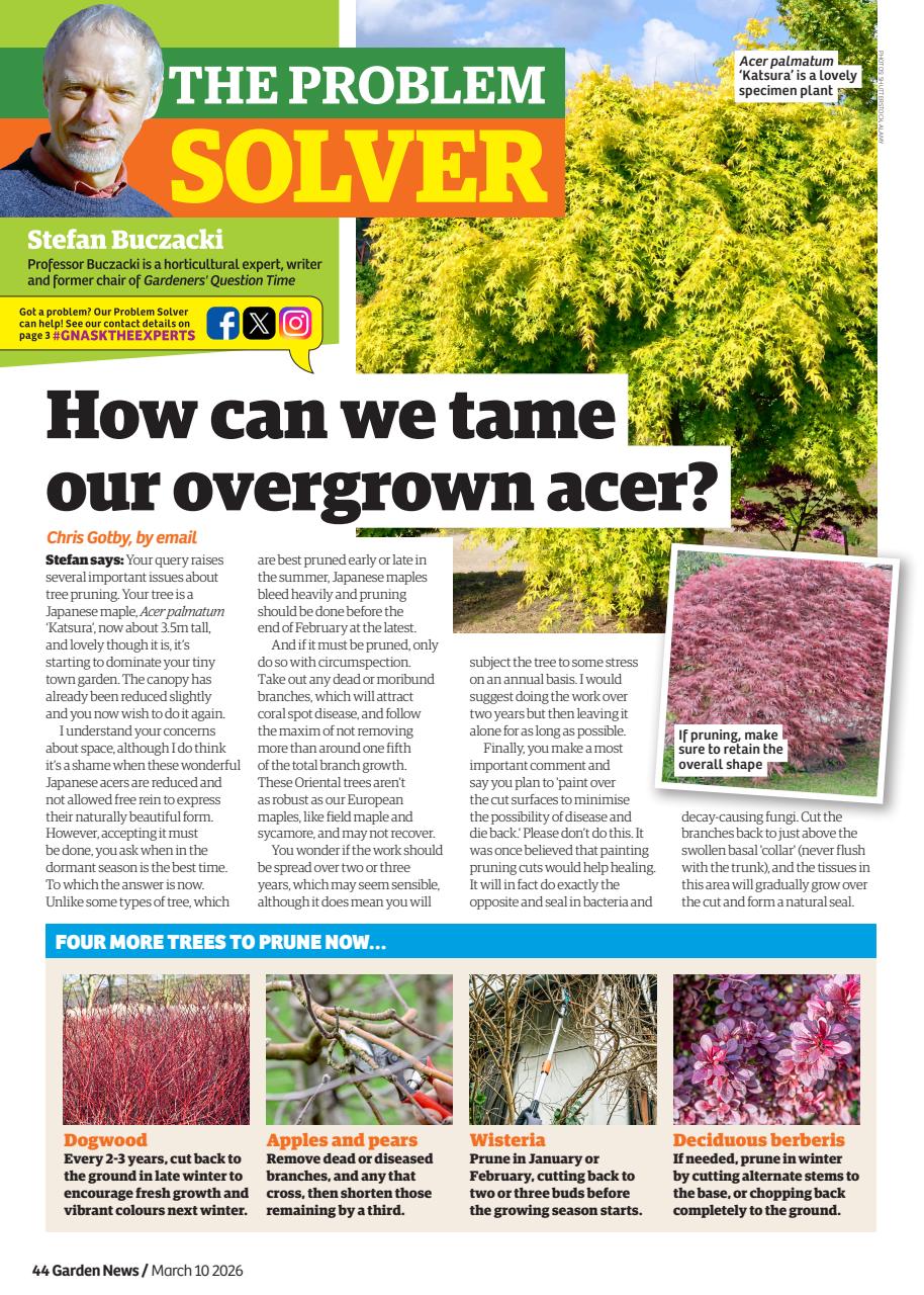 Garden News Preview Pages