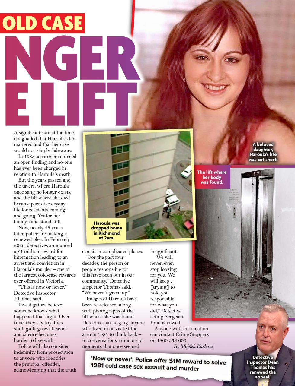 New Idea Preview Pages