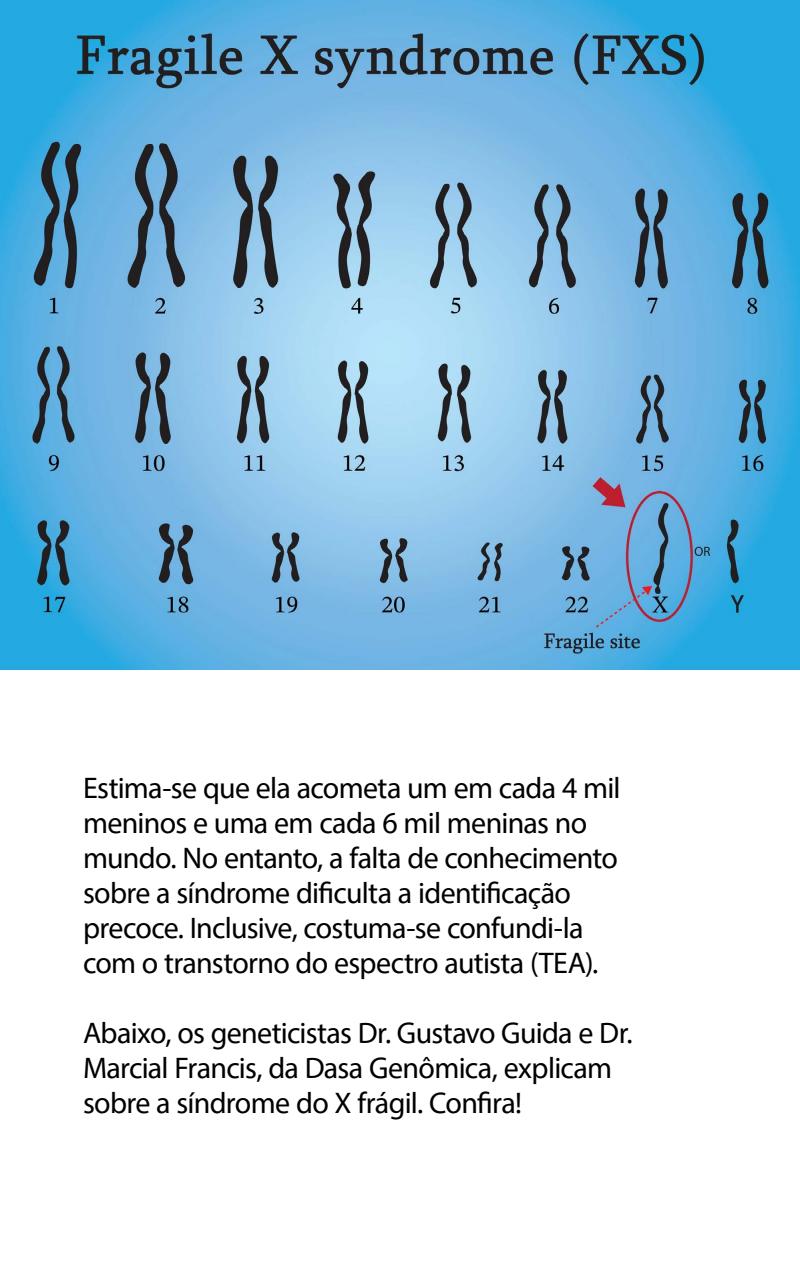 Mente Saudável Preview Pages