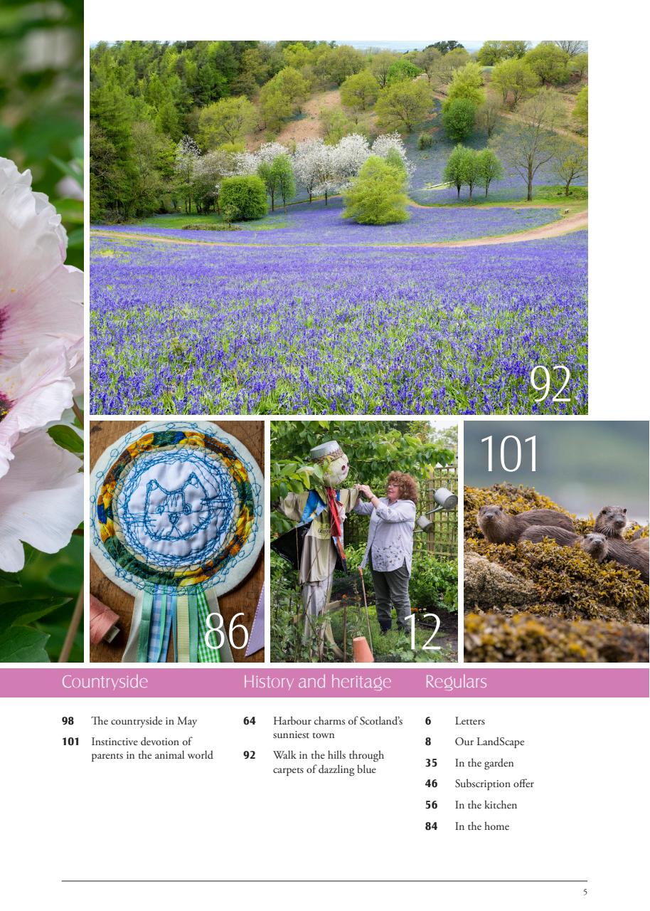 LandScape Preview Pages