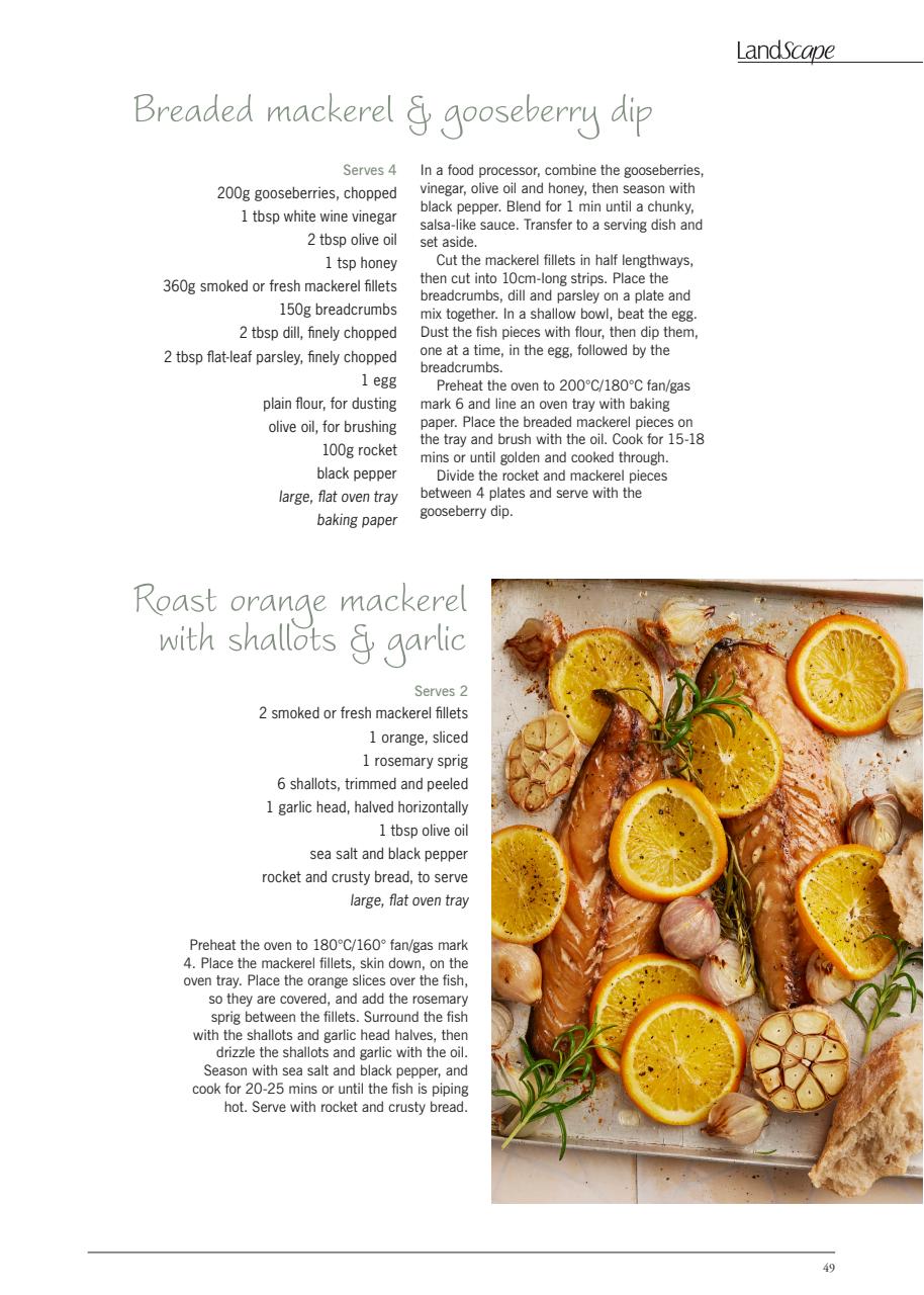 LandScape Preview Pages