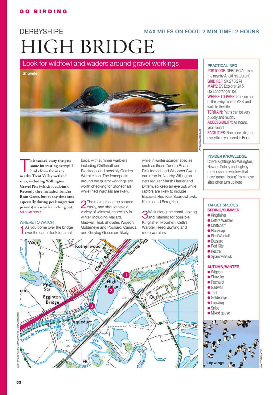 Bird Watching Preview Pages