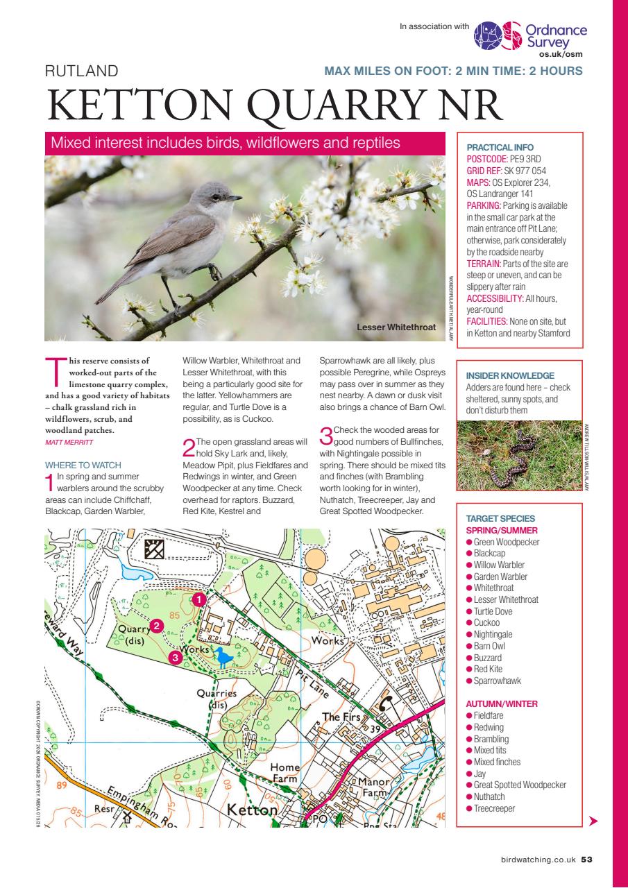 Bird Watching Preview Pages