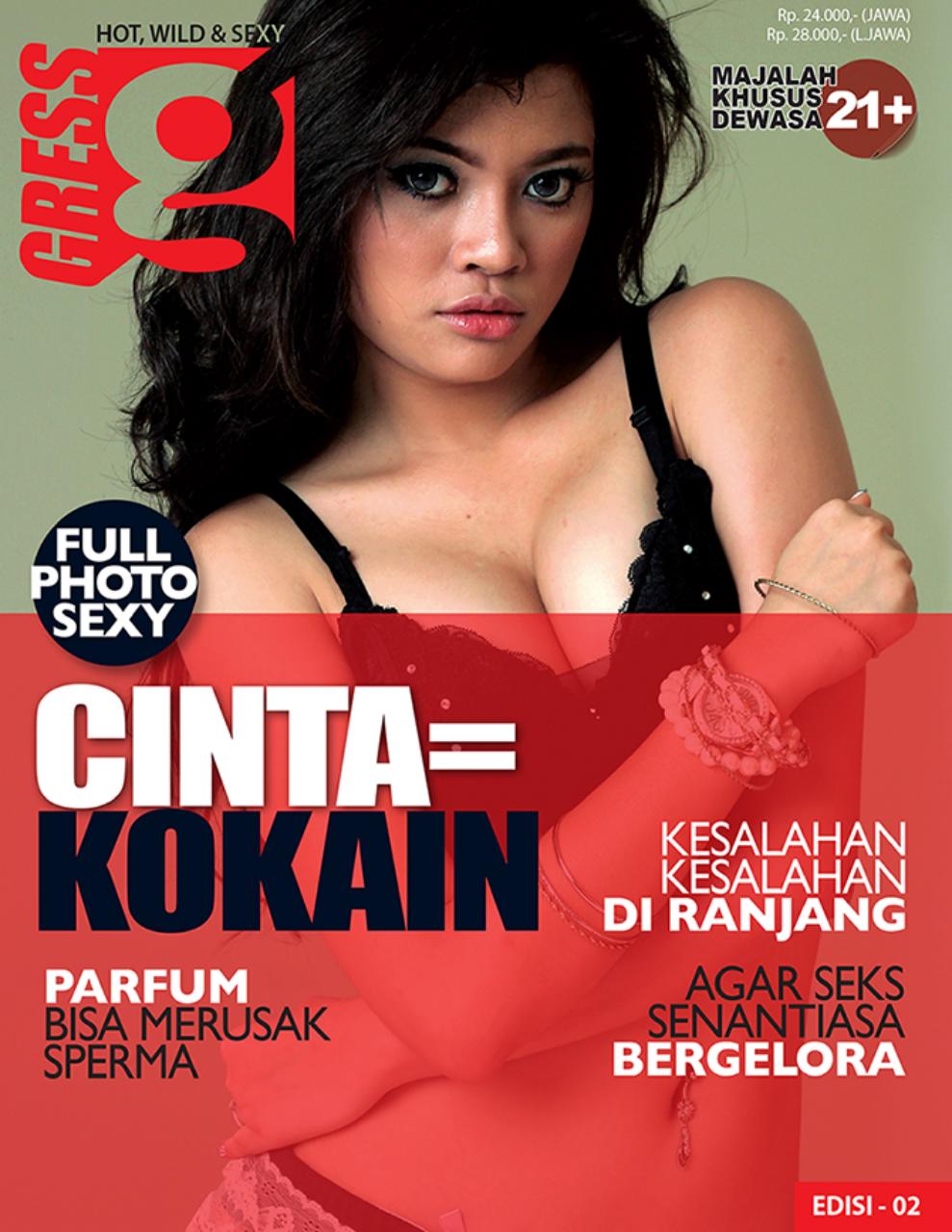 Gress Magazine Preview Pages