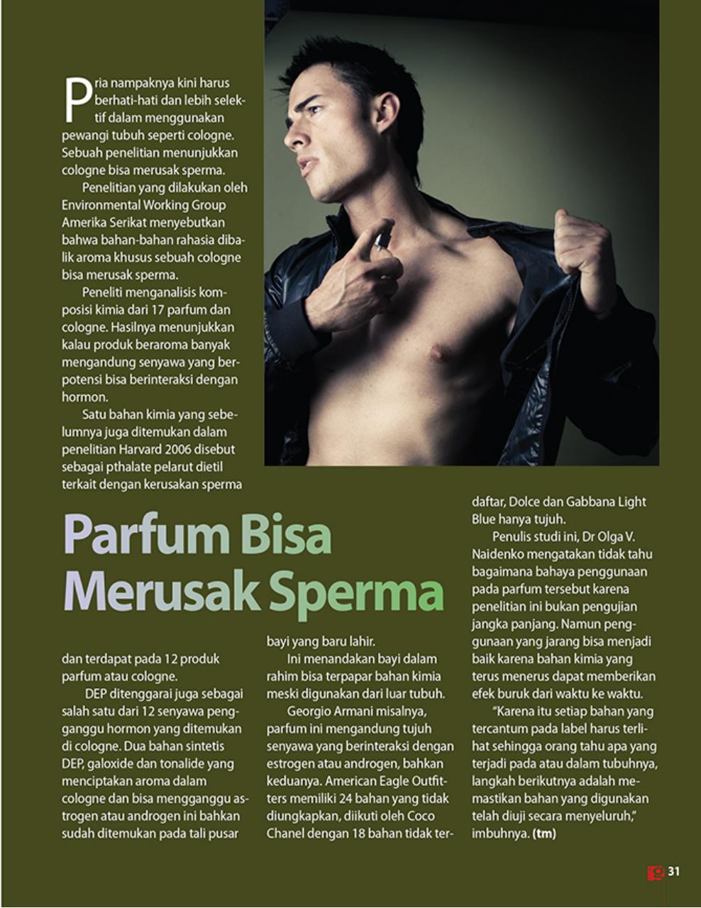 Gress Magazine Preview Pages