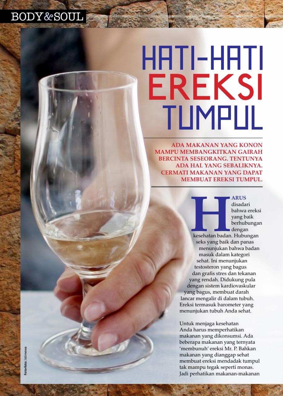 Max Magazine Preview Pages