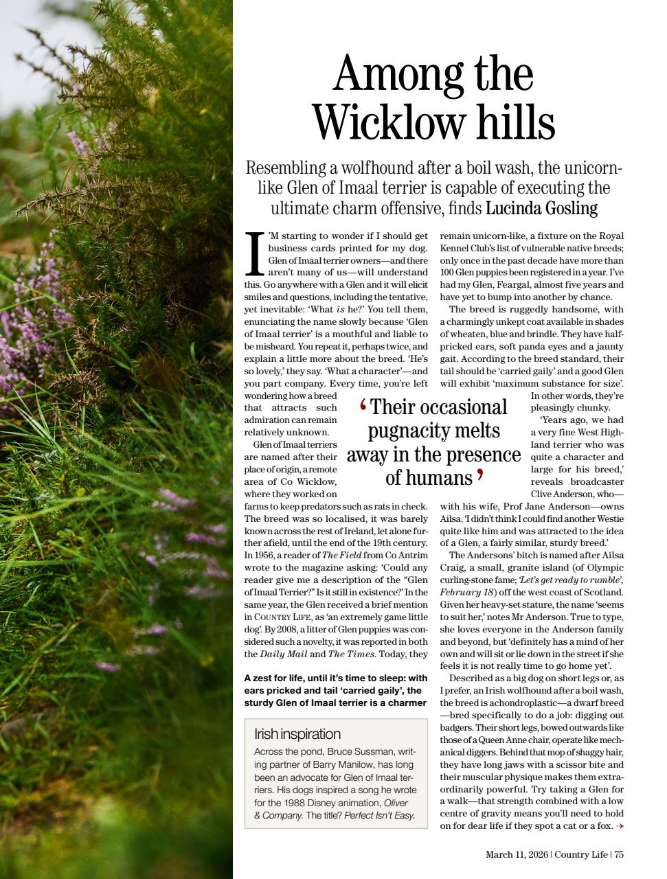 Country Life Preview Pages