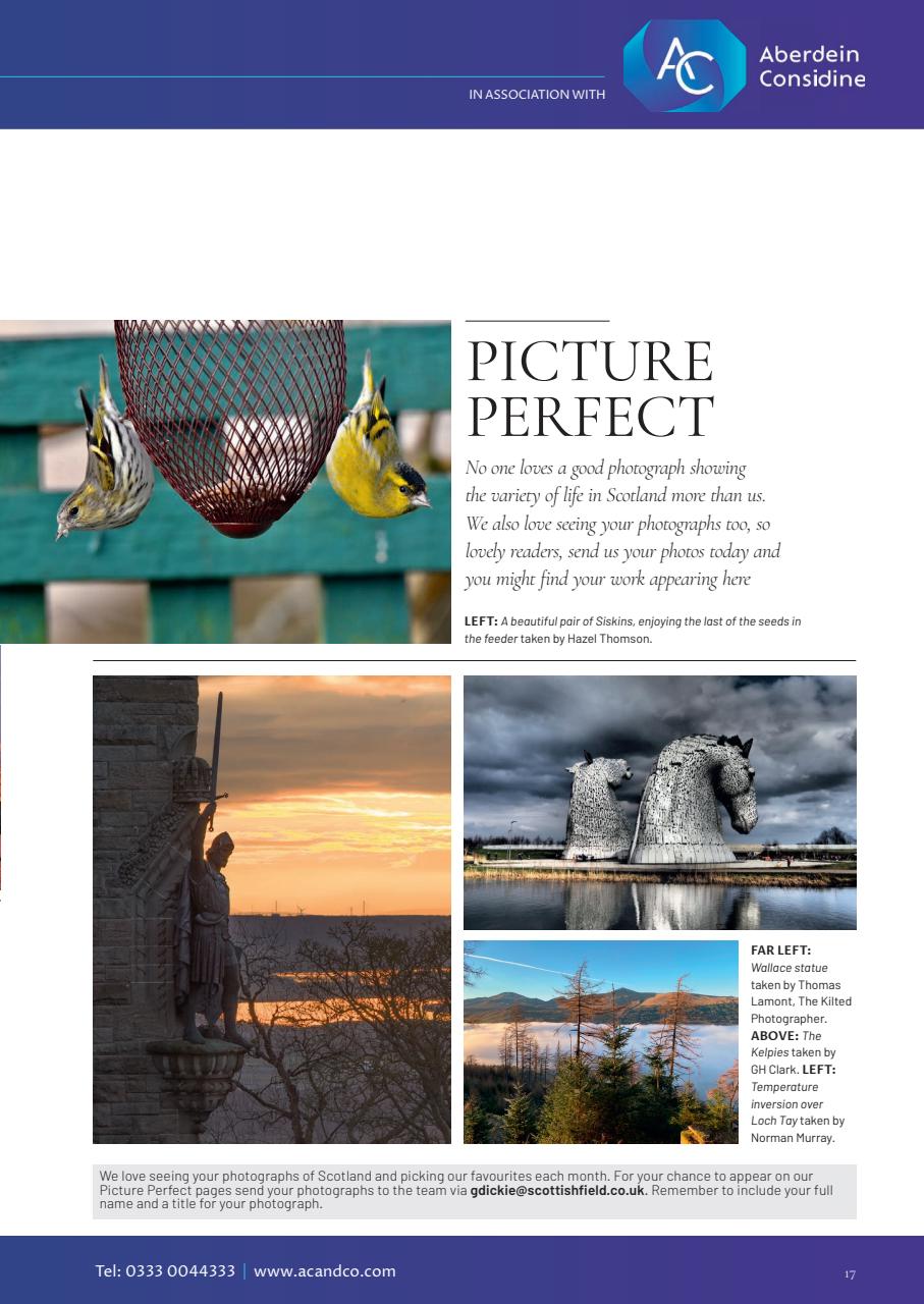 Scottish Field Preview Pages