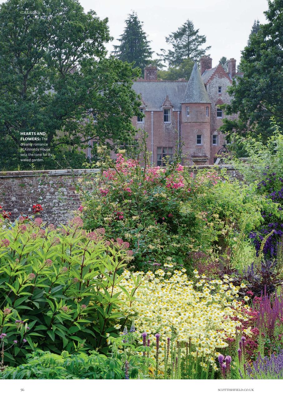 Scottish Field Preview Pages