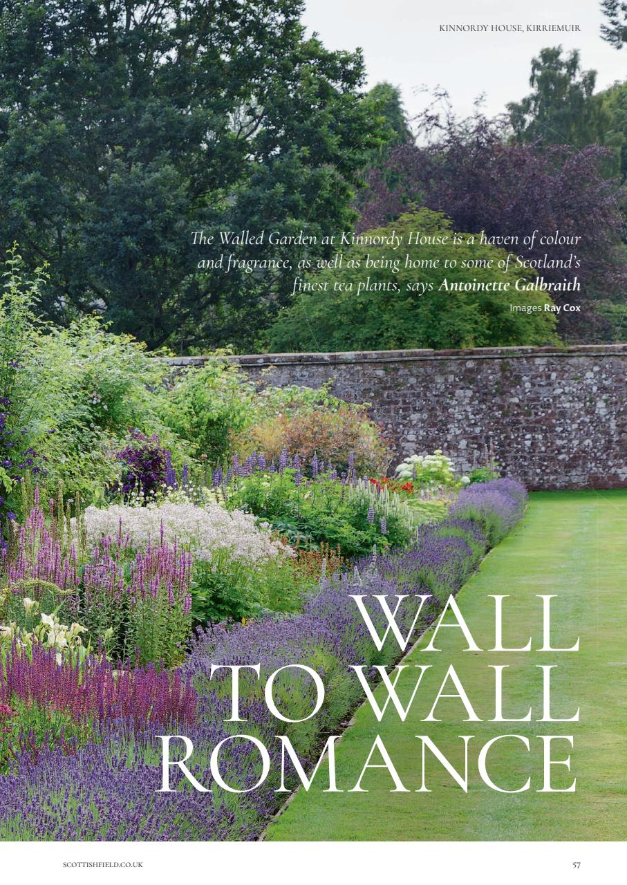 Scottish Field Preview Pages