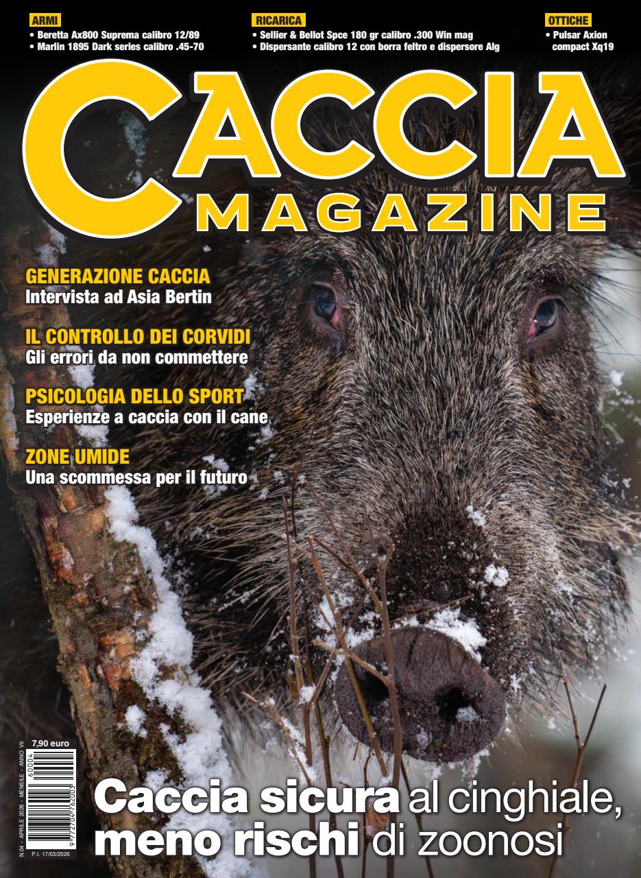 Caccia Magazine Preview Pages