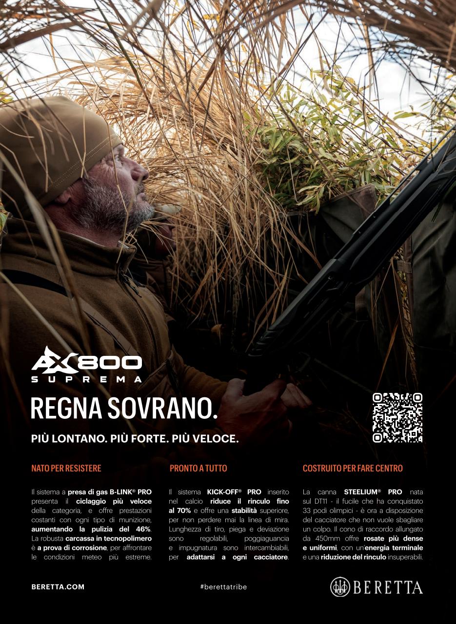 Caccia Magazine Preview Pages