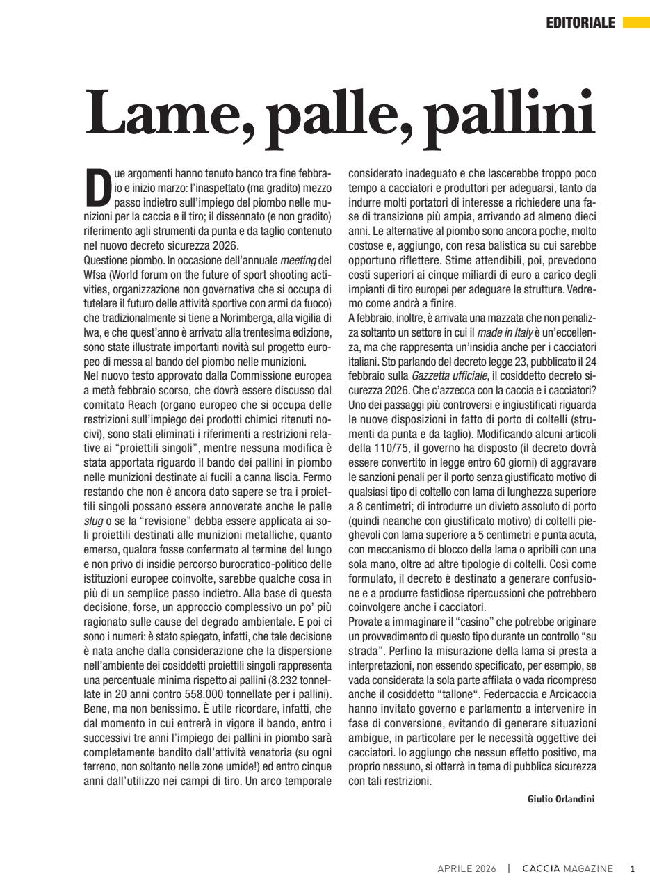 Caccia Magazine Preview Pages