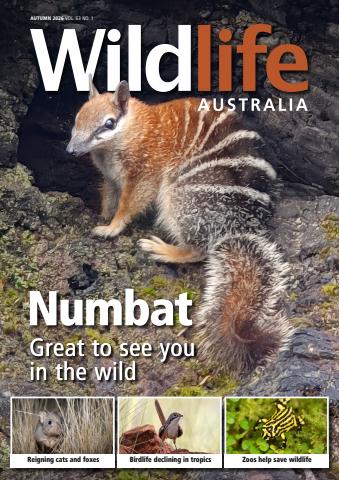 Wildlife Australia issue Autumn 2026 Volume 63 Number 1