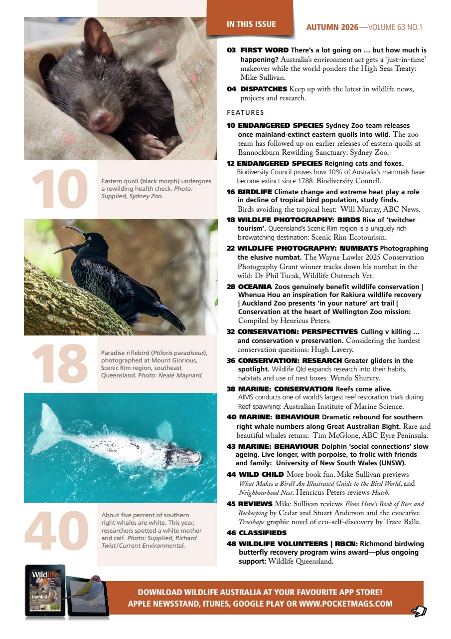 Wildlife Australia Preview Pages