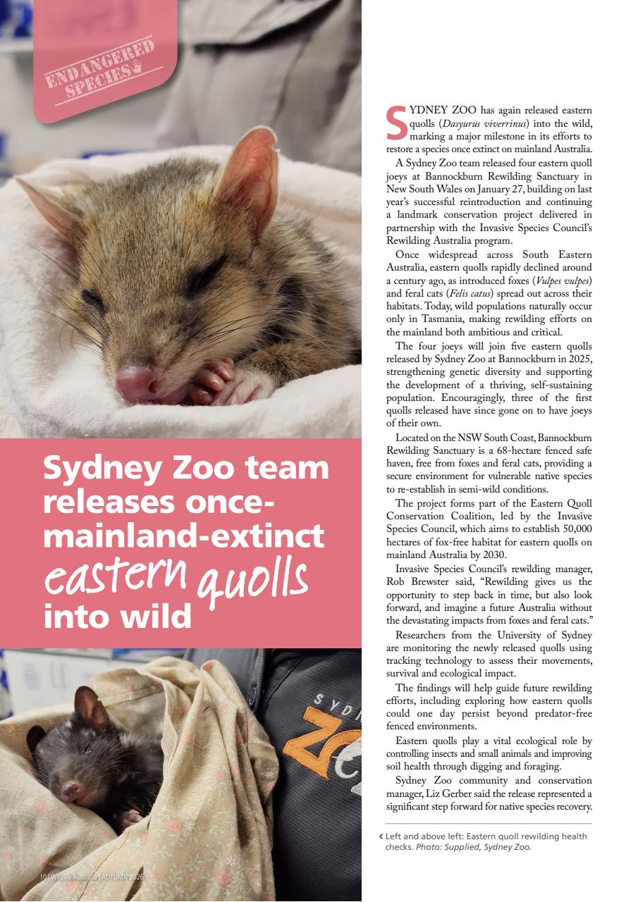 Wildlife Australia Preview Pages