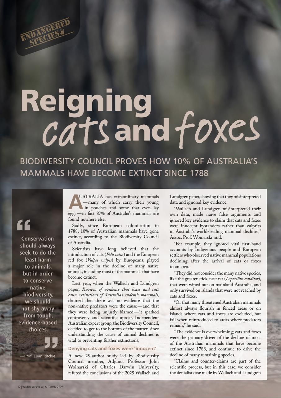 Wildlife Australia Preview Pages