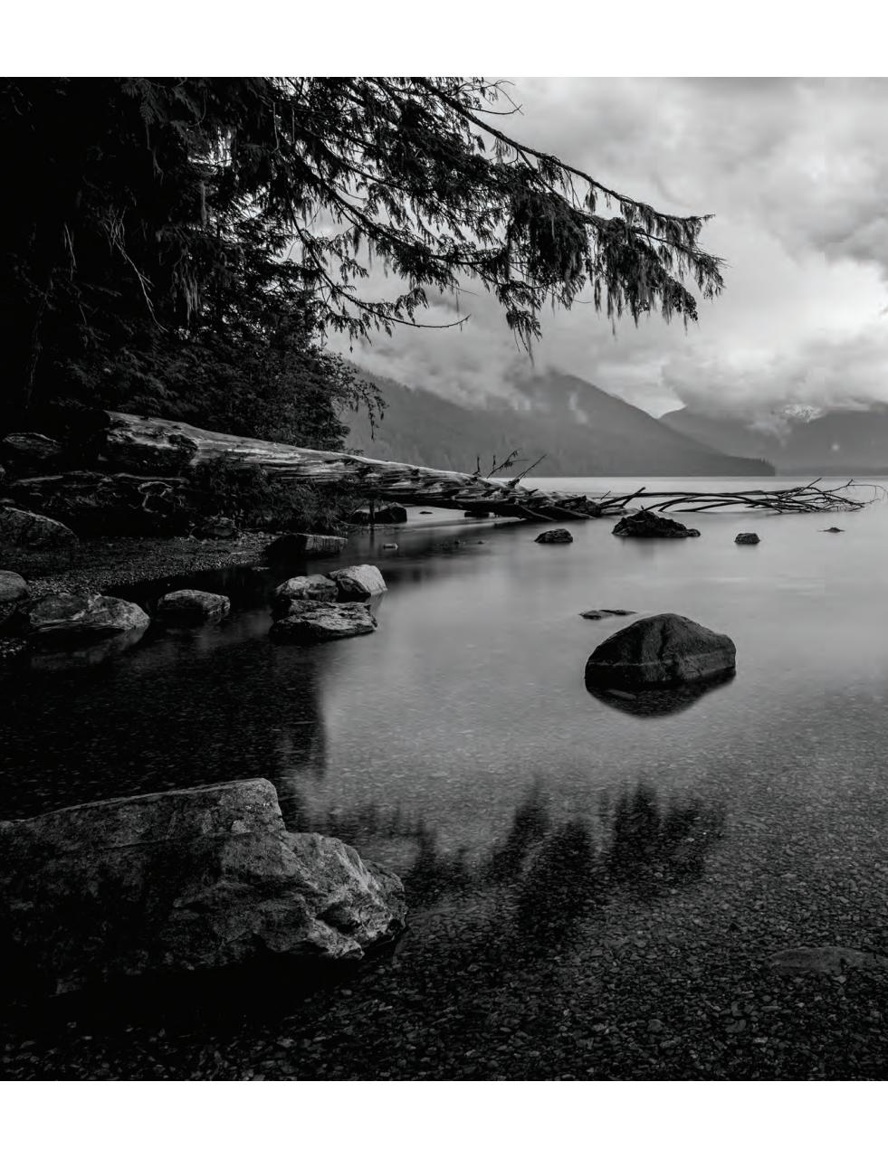 Black+White Photography Preview Pages