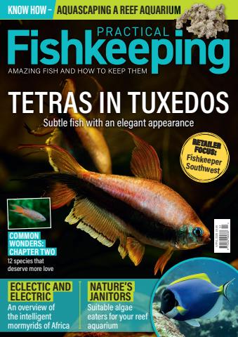 Practical Fishkeeping issue April 2026