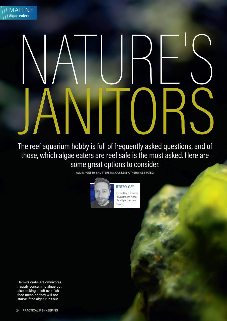 Practical Fishkeeping Preview Pages