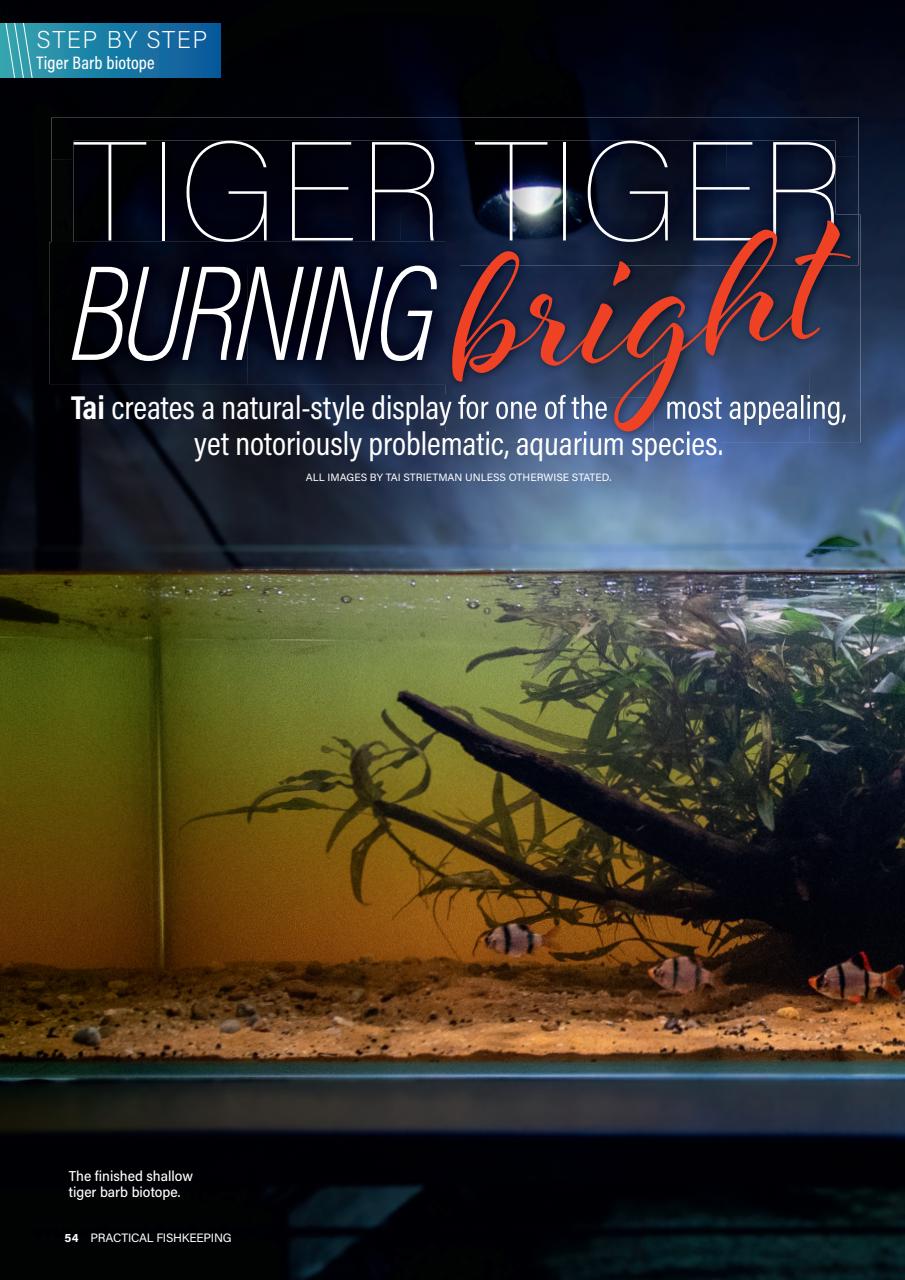 Practical Fishkeeping Preview Pages