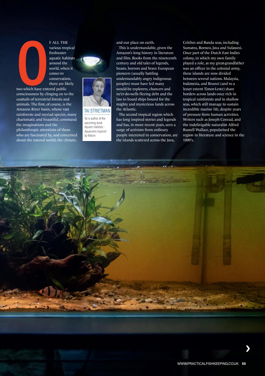 Practical Fishkeeping Preview Pages