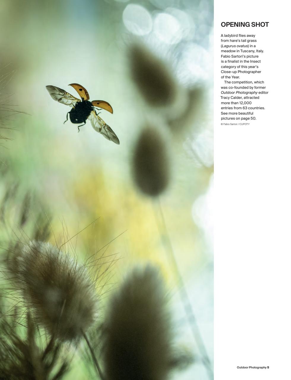 Outdoor Photography Preview Pages