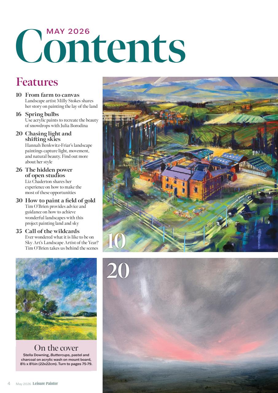 Leisure Painter & The Artist Preview Pages