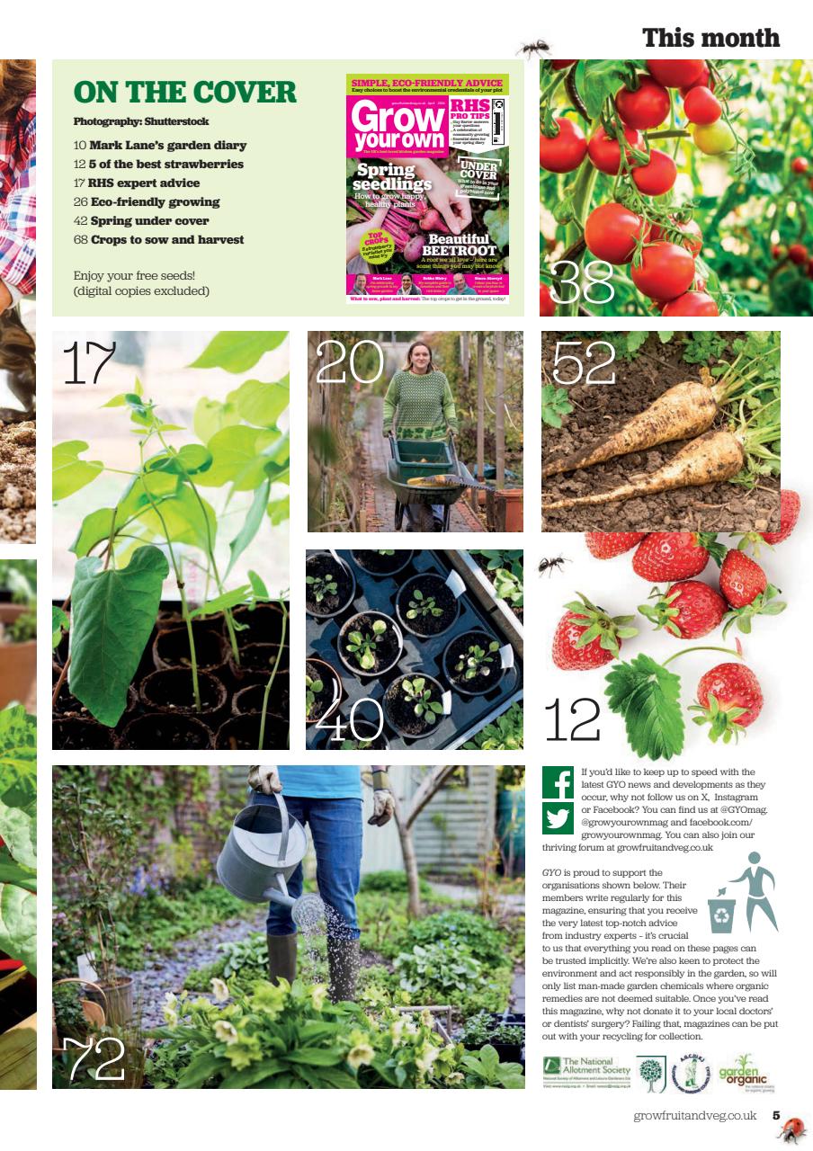 Grow Your Own Preview Pages