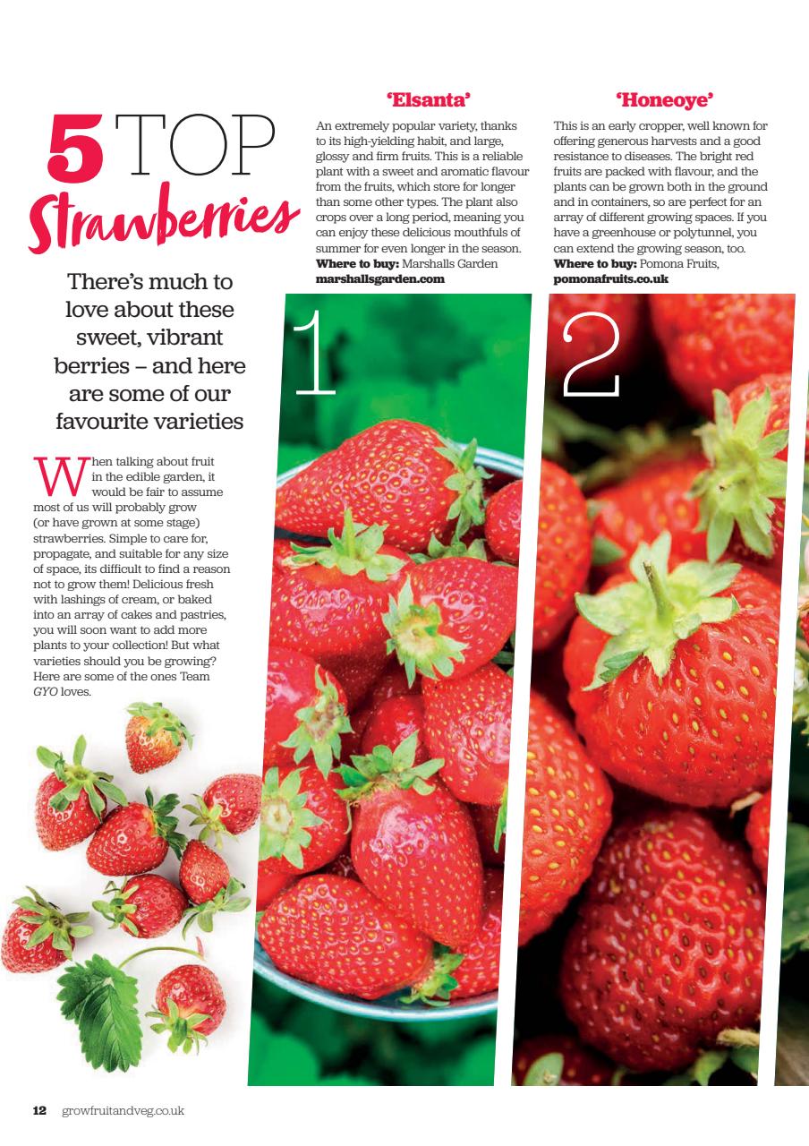 Grow Your Own Preview Pages