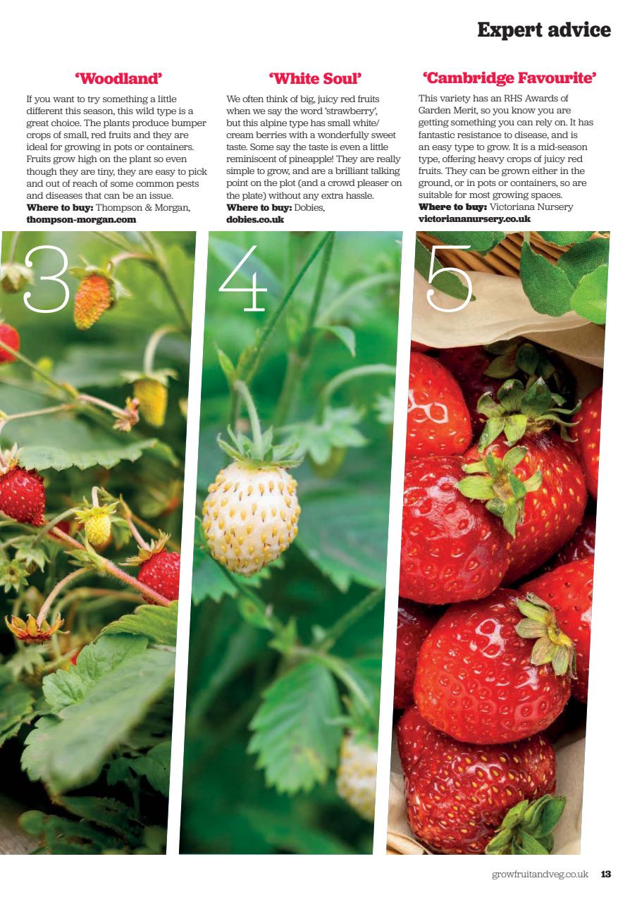 Grow Your Own Preview Pages