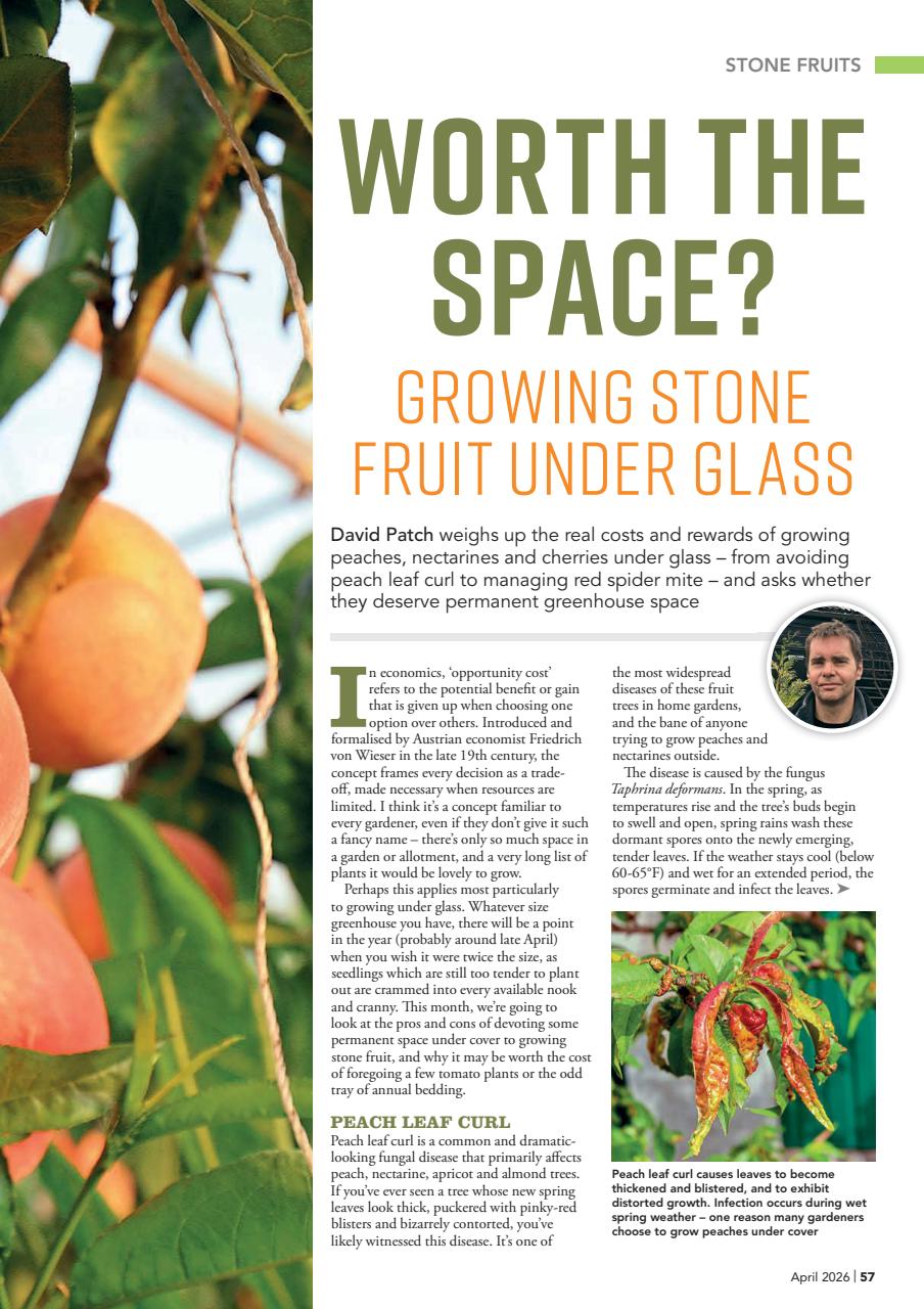 Kitchen Garden Magazine Preview Pages